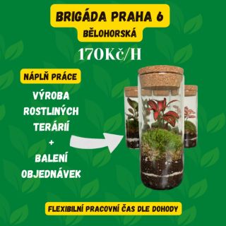 🌿 HLEDÁME POSILU DO TÝMU! (BRIGÁDA PRAHA) 🌿 Máš rád/a přírodu, tvoření a nebojíš se práce rukama? Do našeho týmu...
